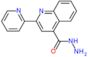 2-(pyridin-2-yl)quinoline-4-carbohydrazide