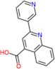 2-(pyridin-3-yl)quinoline-4-carboxylic acid
