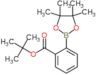 tert-butyl 2-(4,4,5,5-tetramethyl-1,3,2-dioxaborolan-2-yl)benzoate