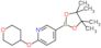 2-[(Tetrahydro-2H-pyran-4-yl)oxy]-5-(4,4,5,5-tetramethyl-1,3,2-dioxaborolan-2-yl)pyridine