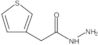 Thiophene-3-acetic acid hydrazide
