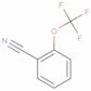2-(trifluoromethoxy)benzonitrile