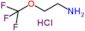 2-(trifluoromethoxy)ethanamine hydrochloride