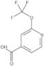 2-(Trifluoromethoxy)-4-pyridinecarboxylic acid