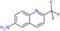 2-(Trifluoromethyl)-6-quinolinamine