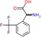 (2S)-amino[2-(trifluoromethyl)phenyl]ethanoic acid