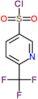 6-(Trifluoromethyl)-3-pyridinesulfonyl chloride