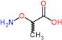 2-(aminooxy)propanoic acid