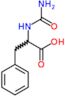 N-carbamoylphenylalanine