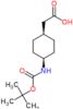 2-[4-(tert-butoxycarbonylamino)cyclohexyl]acetic acid