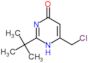 2-tert-butyl-6-(chloromethyl)pyrimidin-4(1H)-one