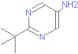 2-(1,1-dimethylethyl)-5-pyrimidinamine