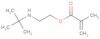 tert-Butylaminoethyl methacrylate