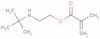 tertiary-Butylaminoethyl methacrylate