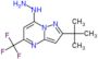 2-tert-butyl-7-hydrazino-5-(trifluoromethyl)pyrazolo[1,5-a]pyrimidine