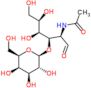 2-(acetylamino)-2-deoxy-3-O-beta-D-galactopyranosyl-D-galactose