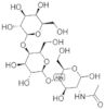 2-ACETAMIDO-2-DEOXY-4-O-([4-O-BETA-D-GALACTOPYRANOSYL]-BETA-D-GALACTOPYRANOSYL)-D-GLUCOPYRANOSE