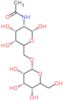 N-[(2R,3S,4R,5R)-2,4,5-trihydroxy-6-[[(2R,3S,4S,5R)-3,4,5-trihydroxy-6-(hydroxymethyl)tetrahydropyran-2-yl]oxymethyl]tetrahydropyran-3-yl]acetamide