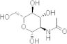 Acetylglucosamine