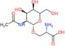 (2S)-3-[(2S,3S,4R,5R)-3-acetamido-4,5-dihydroxy-6-(hydroxymethyl)tetrahydropyran-2-yl]oxy-2-amin...