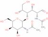 N-acetylgalactosaminyl-1-4-N-acetylglucosamine