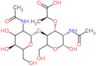 (2S)-2-[(2R,3S,4R,5S)-3-acetamido-5-[(2S,5S)-3-acetamido-4,5-dihydroxy-6-(hydroxymethyl)tetrahydropyran-2-yl]oxy-2-hydroxy-6-(hydroxymethyl)tetrahydropyran-4-yl]oxypropanoic acid
