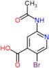 2-(acetylamino)-5-bromopyridine-4-carboxylic acid