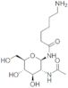 2-acetamido-N-(epsilon-aminocaproyl)-*2-deoxy-B-D