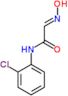 (2E)-N-(2-chlorophenyl)-2-(hydroxyimino)ethanamide