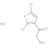Ethanone, 2-amino-1-(2,5-dichloro-3-thienyl)-, hydrochloride