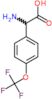 amino[4-(trifluoromethoxy)phenyl]acetic acid