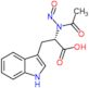 (2S)-2-[acetyl(nitroso)amino]-3-(1H-indol-3-yl)propanoic acid