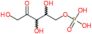 L-erythro-2-Pentulose, 5-(dihydrogen phosphate)