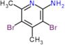 3,5-dibromo-4,6-dimethylpyridin-2-amine