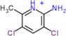 3,5-Dichloro-6-methylpyridin-2-amine