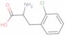 2-Chlorophenylalanine