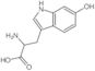 2-amino-3-(6-hydroxy-1H-indol-3-yl)propanoic acid