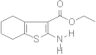 Ethyl 2-amino-4,5,6,7-tetrahydrobenzo[b]thiophene-3-carboxylate