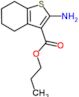 propyl 2-amino-4,5,6,7-tetrahydro-1-benzothiophene-3-carboxylate