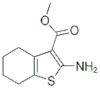 2-amino-4,5,6,7-tetrahydro-benzo[B]thiophene-3-CARBOXYLIC ACID METHYL ESTER