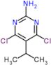 4,6-dichloro-5-isopropyl-pyrimidin-2-amine