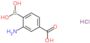 3-amino-4-borono-benzoic acid hydrochloride