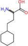 2-amino-4-cyclohexylbutanoic acid