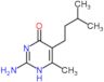 2-amino-6-methyl-5-(3-methylbutyl)pyrimidin-4(1H)-one