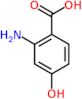 2-amino-4-hydroxybenzoic acid