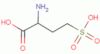 DL-homocysteic acid