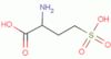 (±)-Homocysteic acid