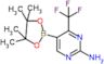 5-(4,4,5,5-tetramethyl-1,3,2-dioxaborolan-2-yl)-4-(trifluoromethyl)pyrimidin-2-amine