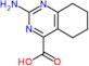 2-amino-5,6,7,8-tetrahydroquinazoline-4-carboxylic acid