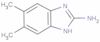 5,6-dimethylbenzimidazol-2-ylamine